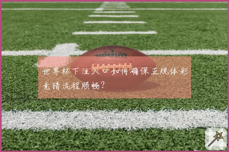 世界杯下注入口如何确保正规体彩竞猜流程顺畅？