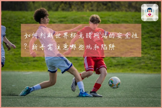 如何判断世界杯竞猜网站的安全性？新手需注意哪些坑和陷阱