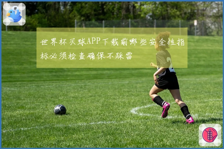 世界杯买球APP下载前哪些安全性指标必须检查确保不踩雷