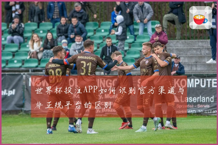世界杯投注APP如何识别官方渠道与非正规平台的区别