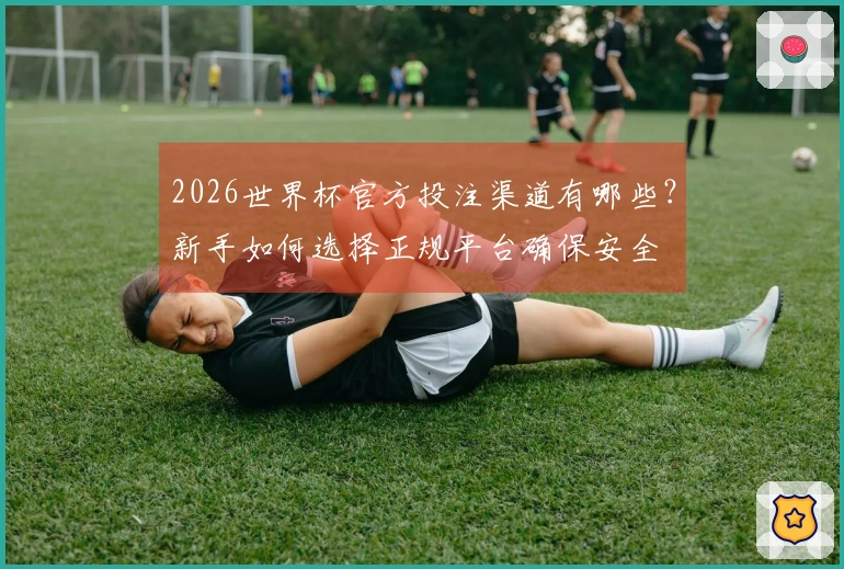 2026世界杯官方投注渠道有哪些？新手如何选择正规平台确保安全